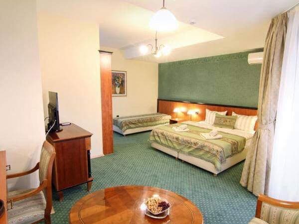 Hotel in Center for sale - For Sale - Karposh - Image 4