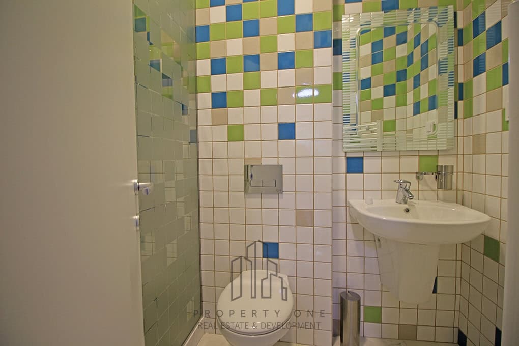 Exclusive fully furnished houses on Vodno - For Rent - Vodno - Image 11