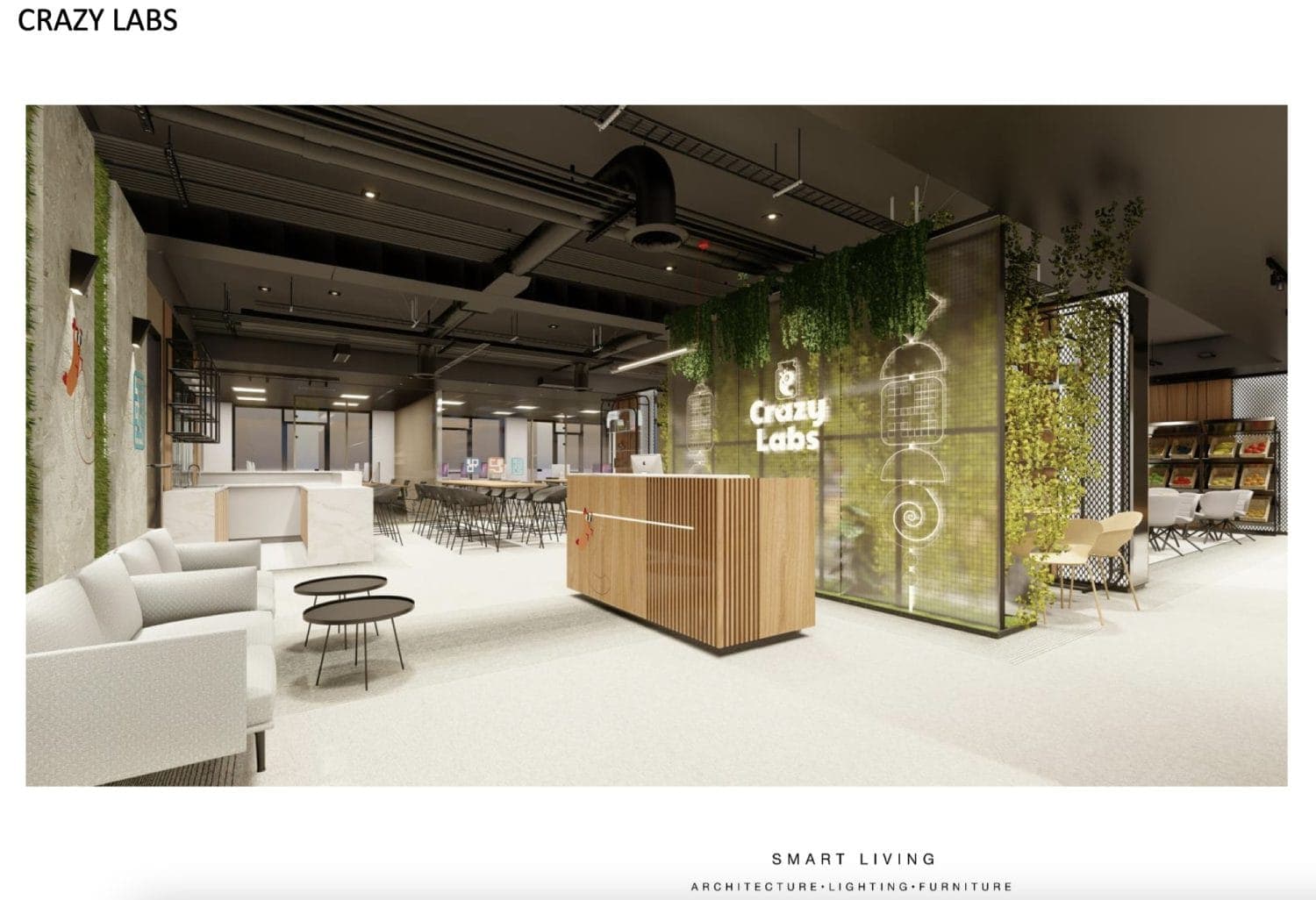 Проект за Crazy Labs - За Продажба - Центар - Слика 5