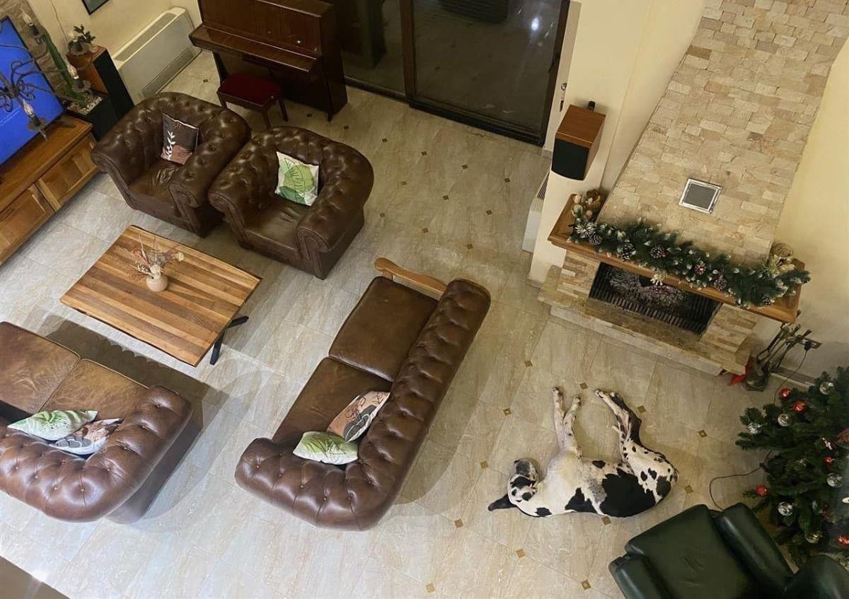 House in Sopishte with spacious 1518m2 yard - For Sale - Sopishte