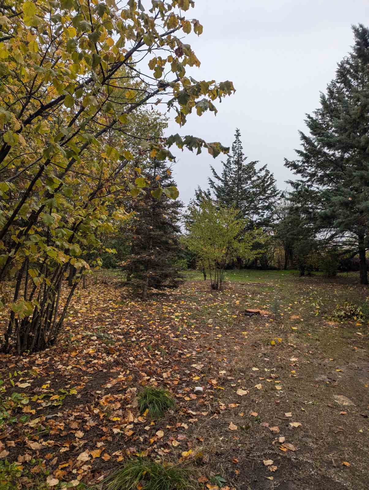 House 270m2 on Vodno - For Rent - Vodno - Image 21