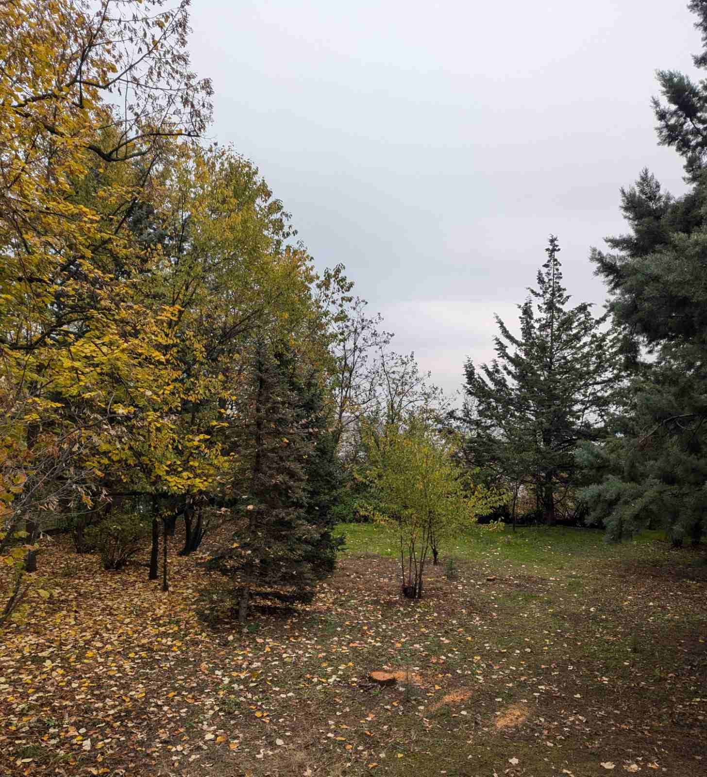 House 270m2 on Vodno - For Rent - Vodno - Image 22