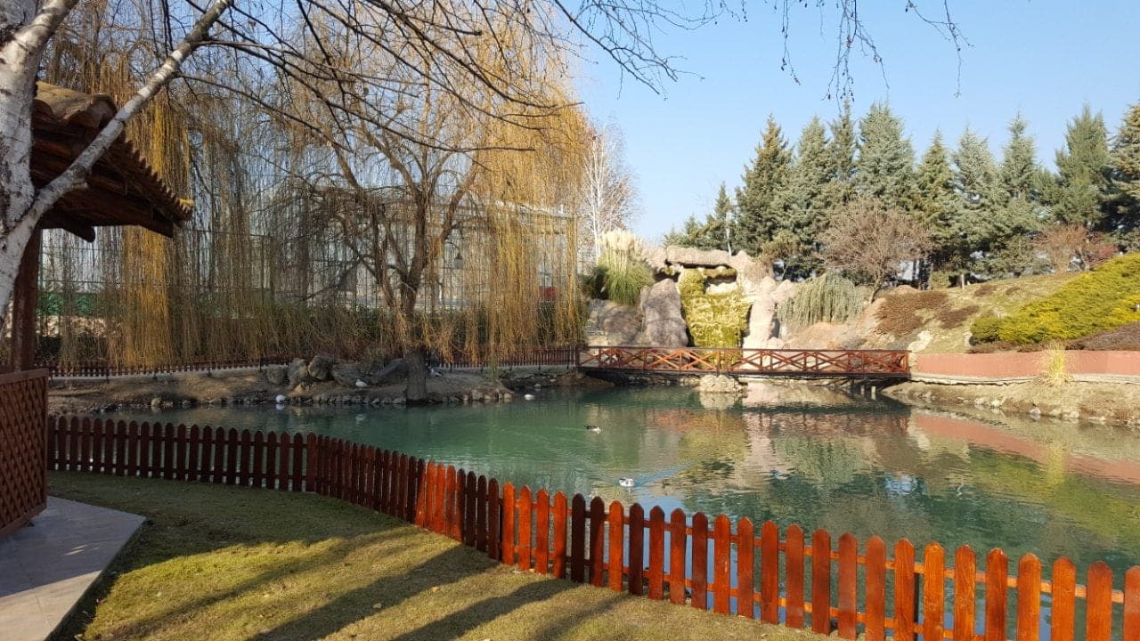 Beautiful and classical 200m2 apartment - For Rent - Zlokukjani - Image 9