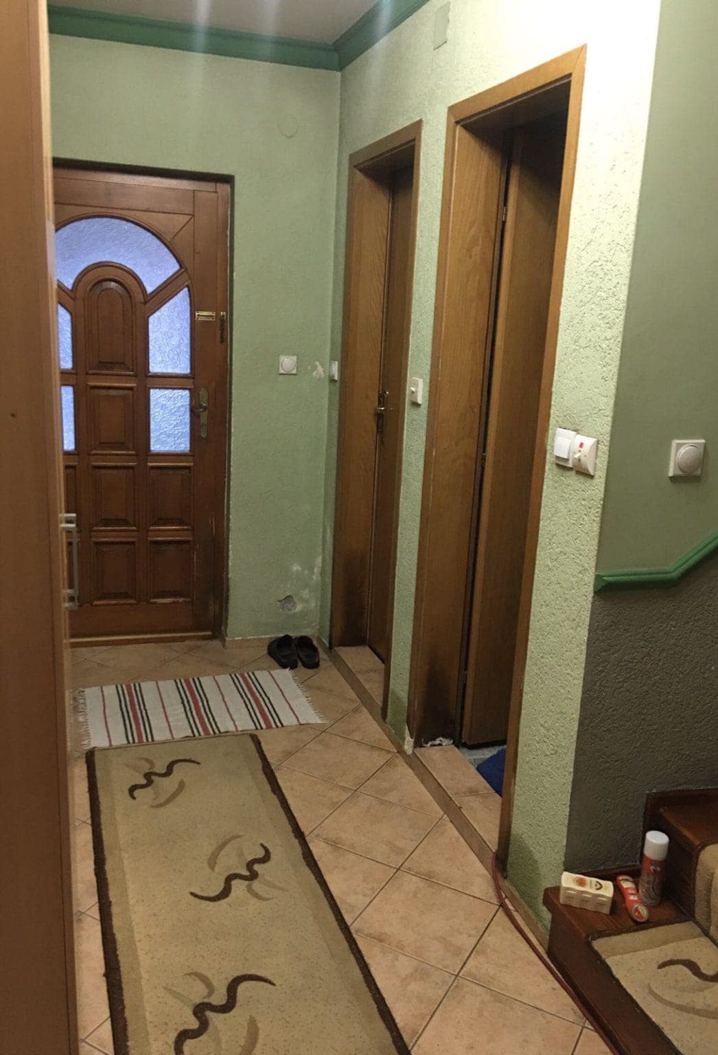 Luxury house in Radishani - За Продажба - Бутел - Image 10