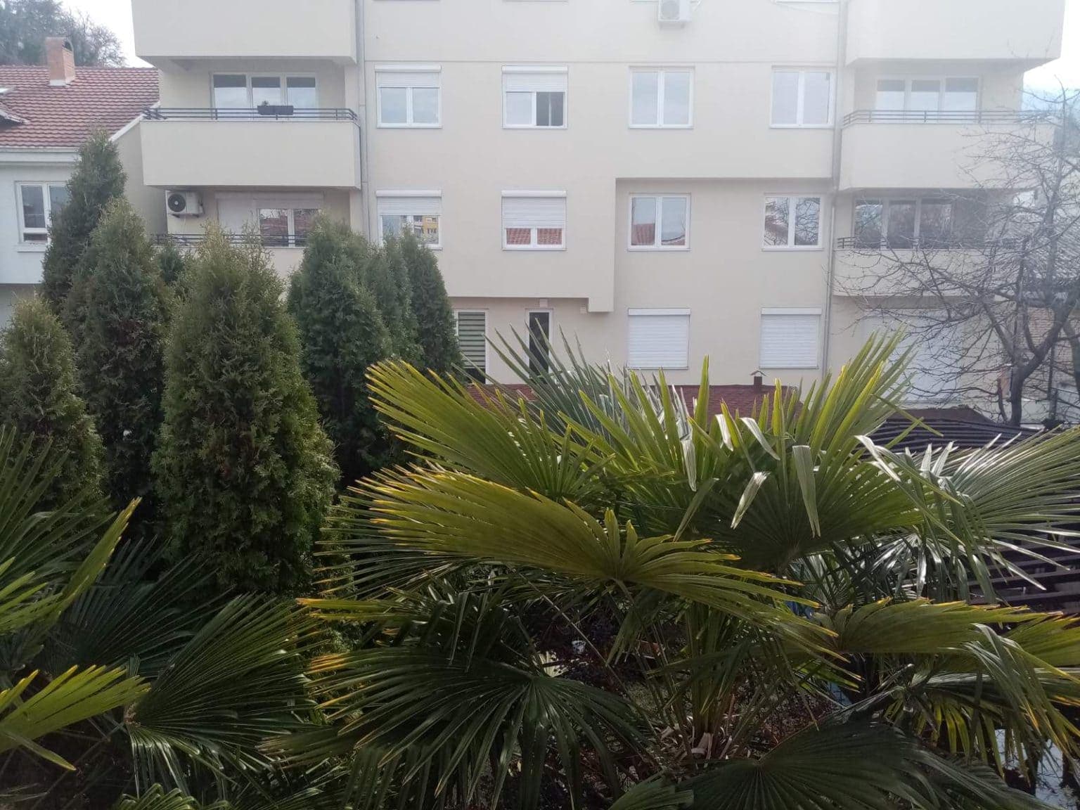 Куќа во Козле на мирна локација - За Изнајмување - Карпош - Слика 6