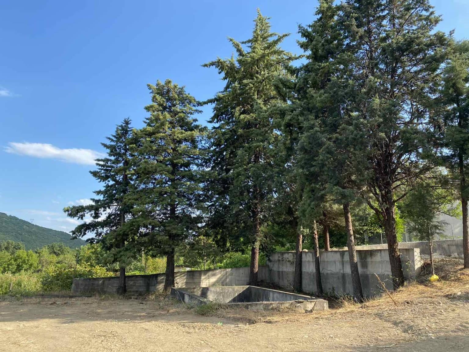 Weekend house with a spacious yard in Oreshani - For Sale - Zelenikovo - Image 4