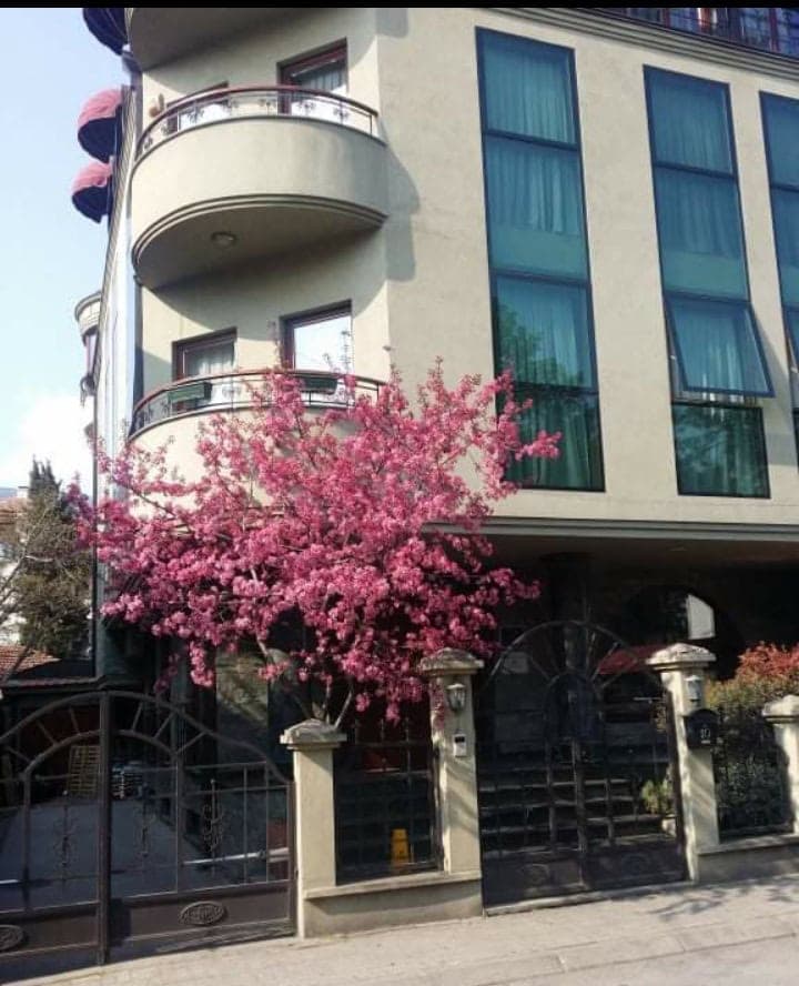 House for sale оn a great location in Crniche - За Продажба - Црниче