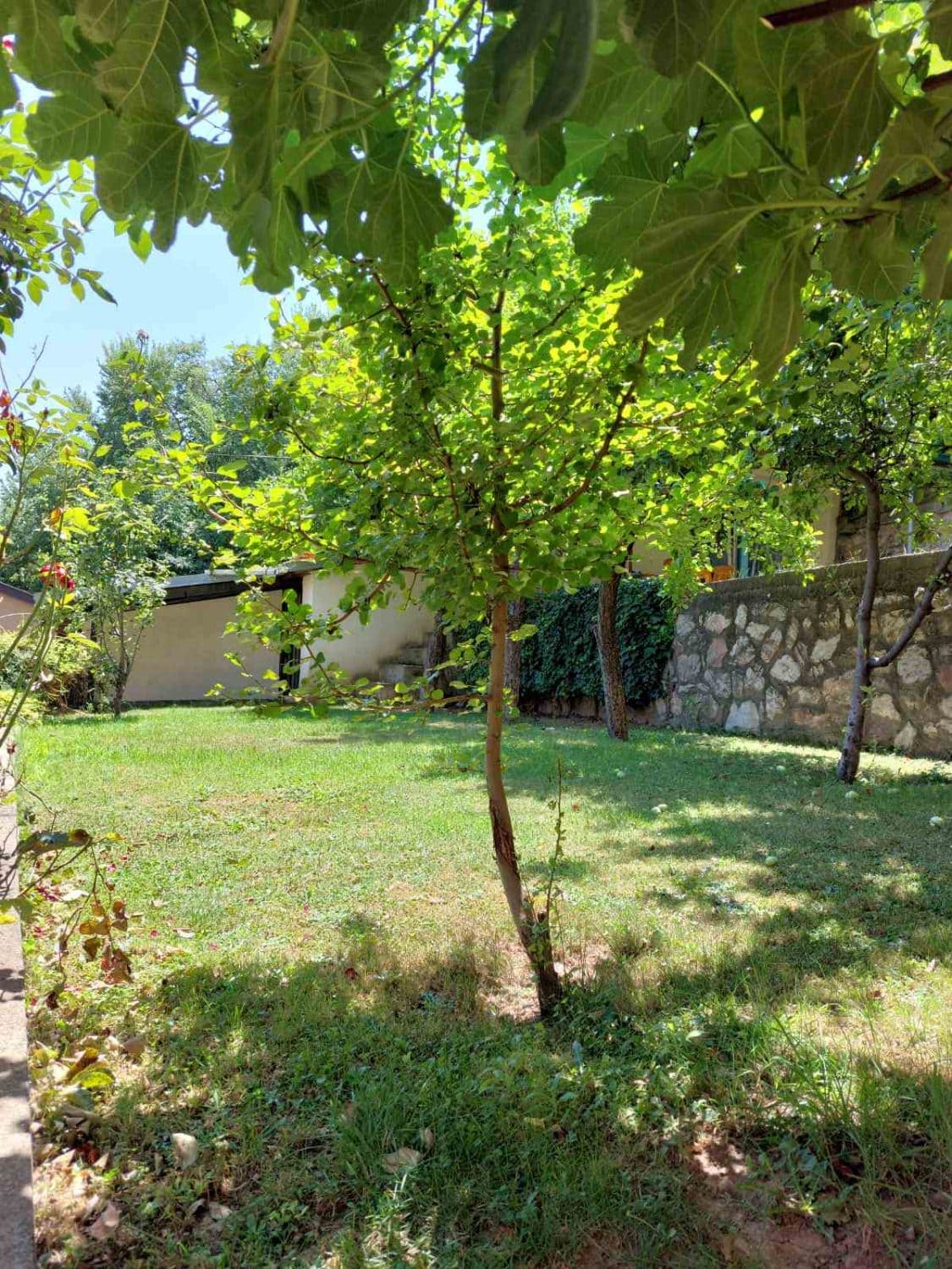 House for sale on a great location in Crniche - For Sale - Crniche - Image 3