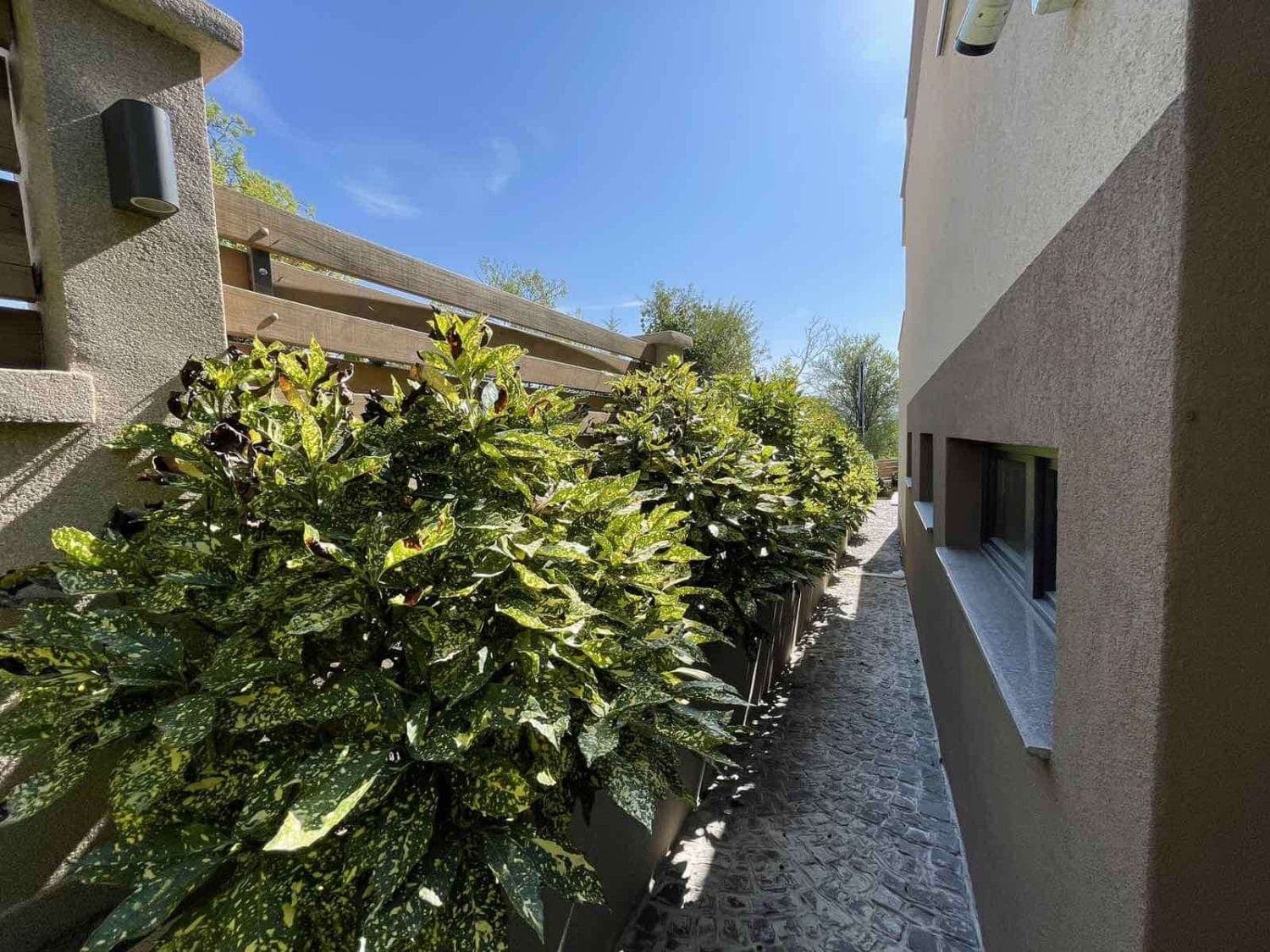 New contemporary house in Sopishte - For Rent - Sopishte - Image 22