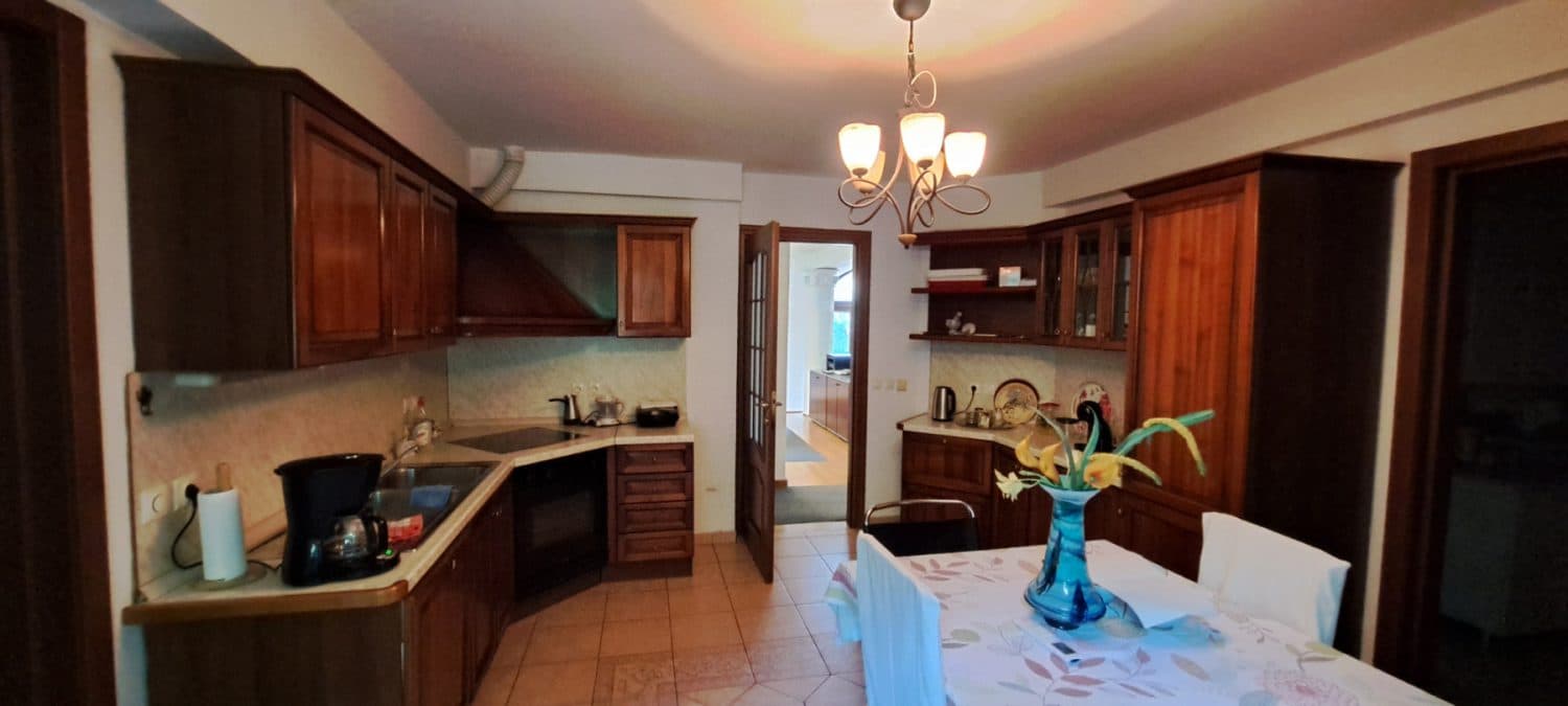 Ексклузивна куќа во Црниче за продажба - За Продажба - Црниче - Слика 12