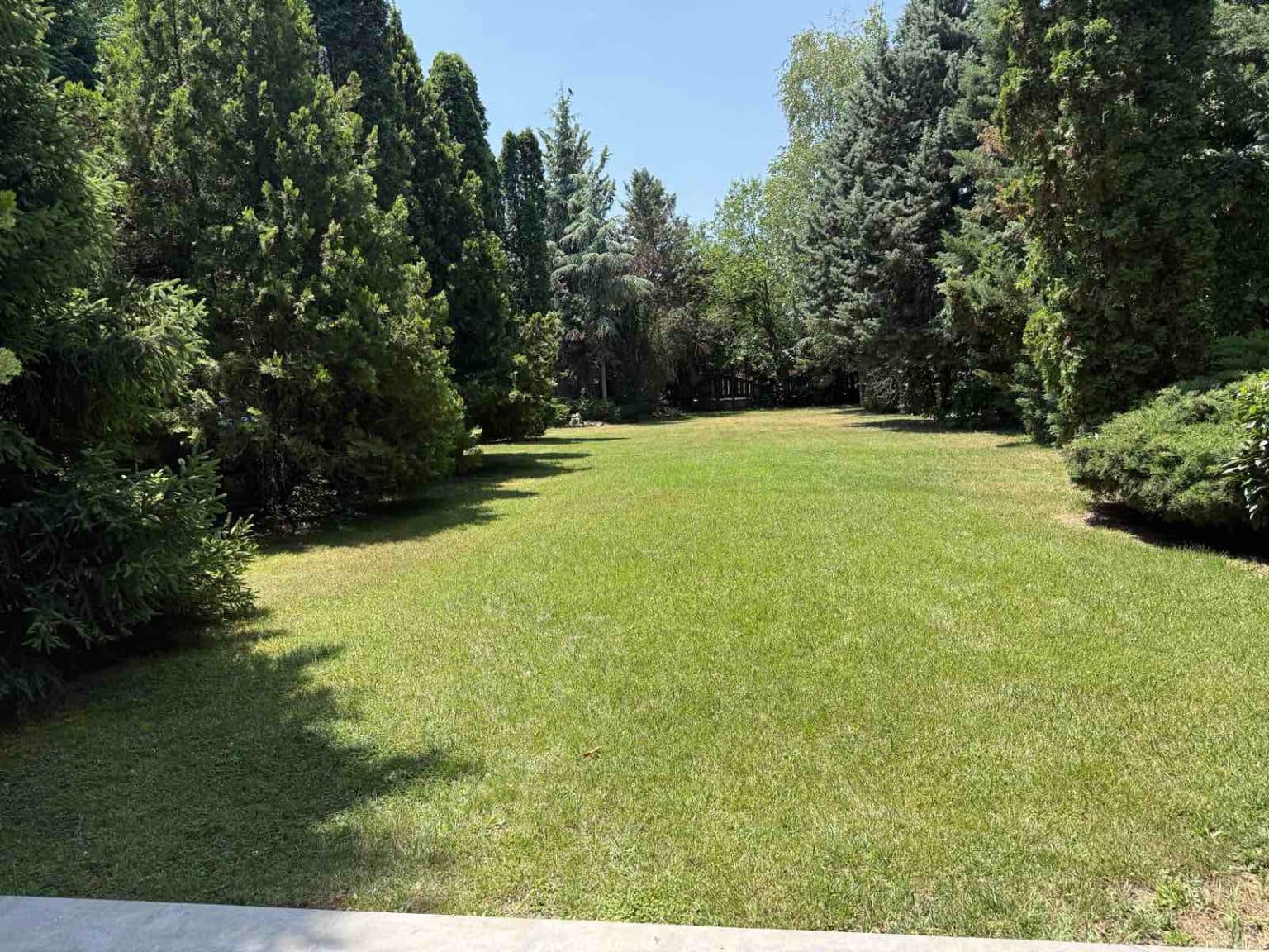 House with spacious yard in Zlokukjani - For Rent - Zlokukjani - Image 12