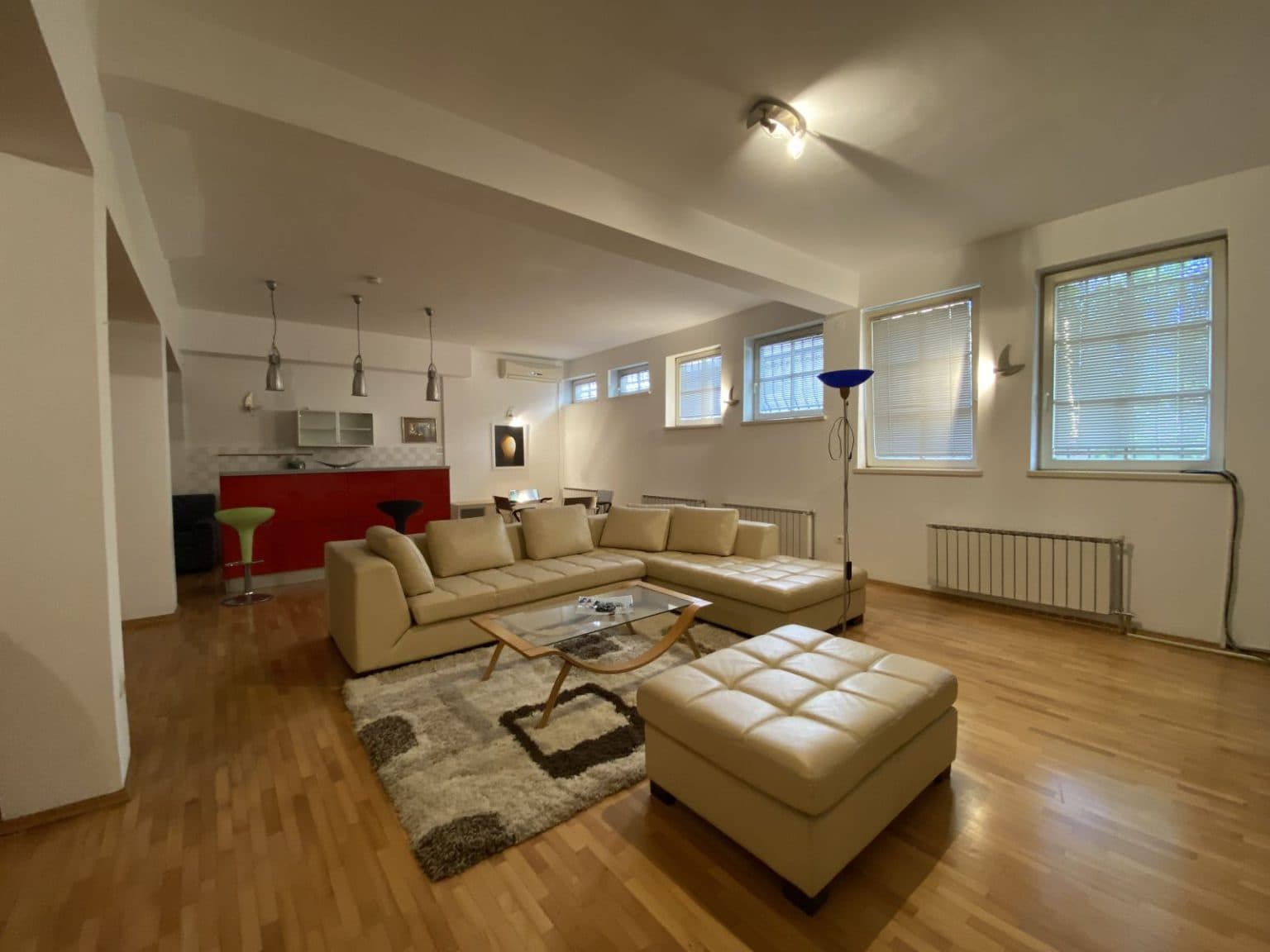 Пространа куќа 492м2 во Црниче - 3