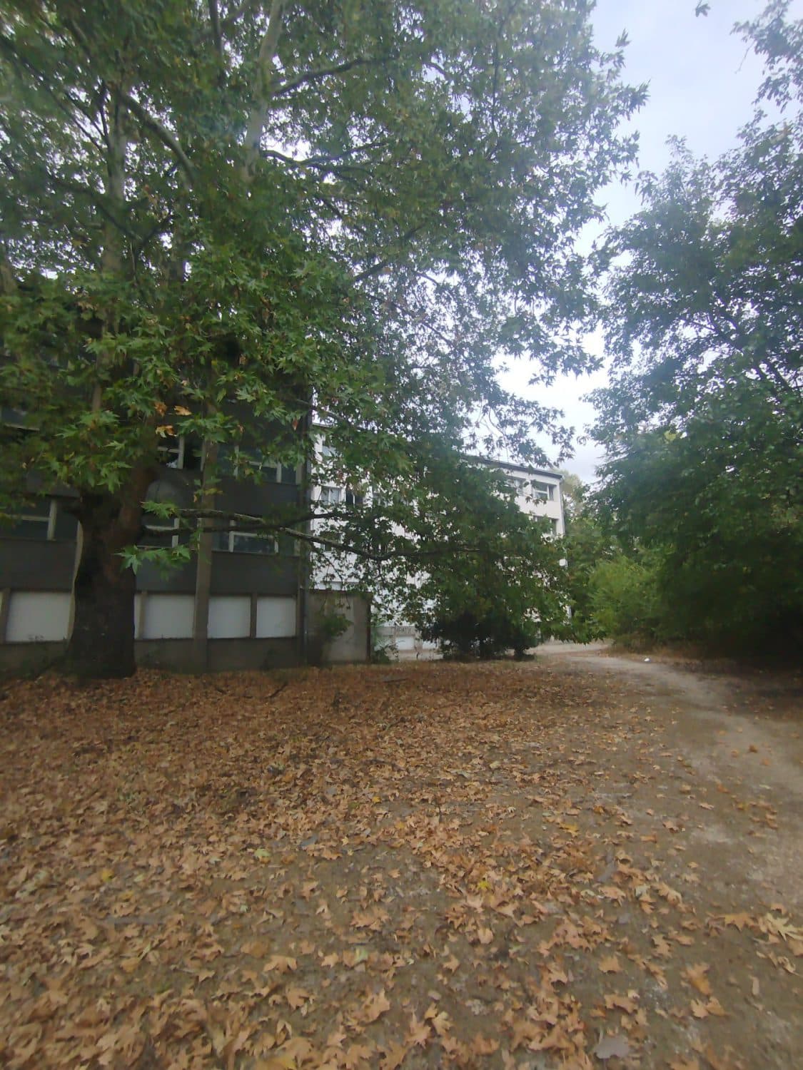 Деловен објект 3800м2 со плац 7500м2 - За Продажба - Гази Баба - Слика 7