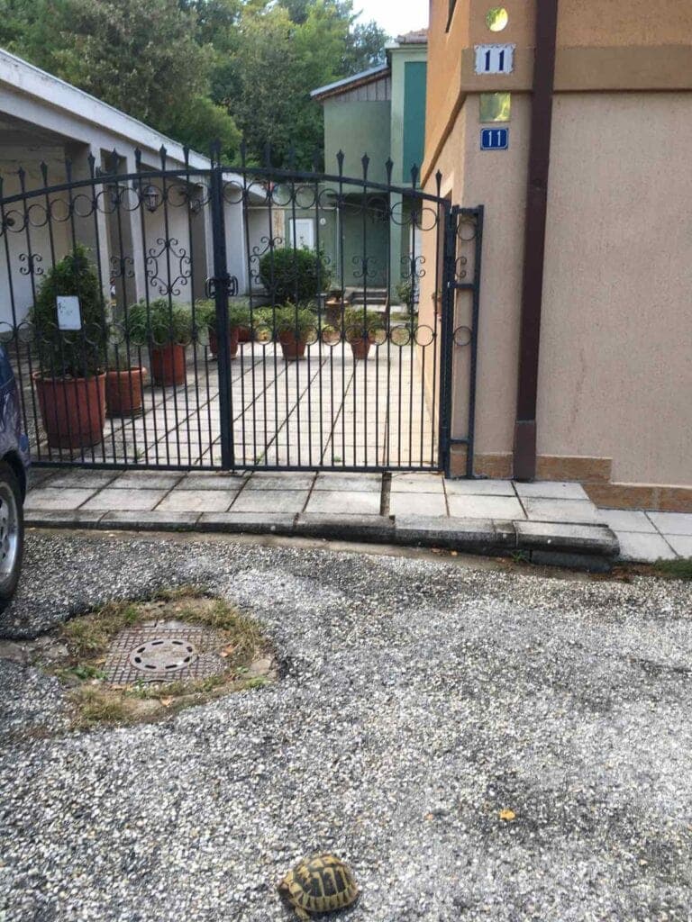 Куќа 150м2 со двор на Водно - За Продажба - Скопје - Слика 21