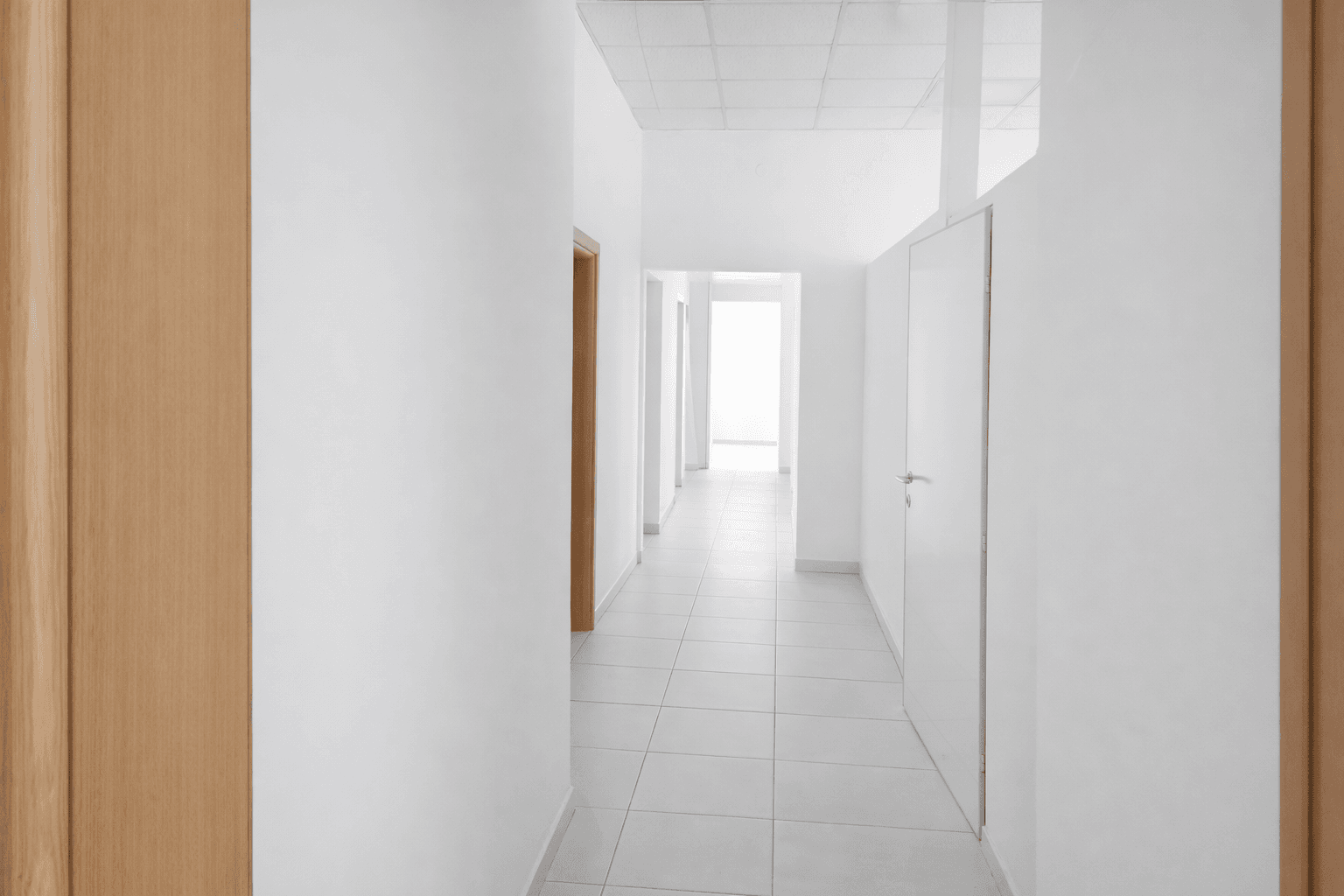 Business space for rent in Novo Lisiche - For Rent - Aerodrom - Image 5