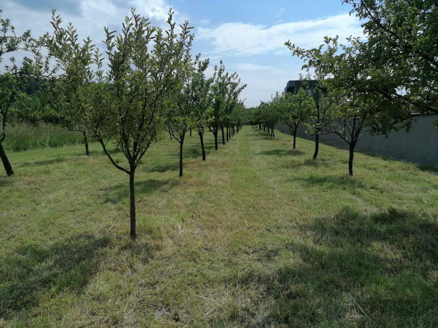 Се продава градежен плац во Берово - За Продажба - Берово