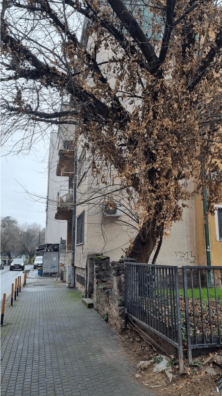 Apartment 100m2 in Center - For Rent - Skopje - Image 14