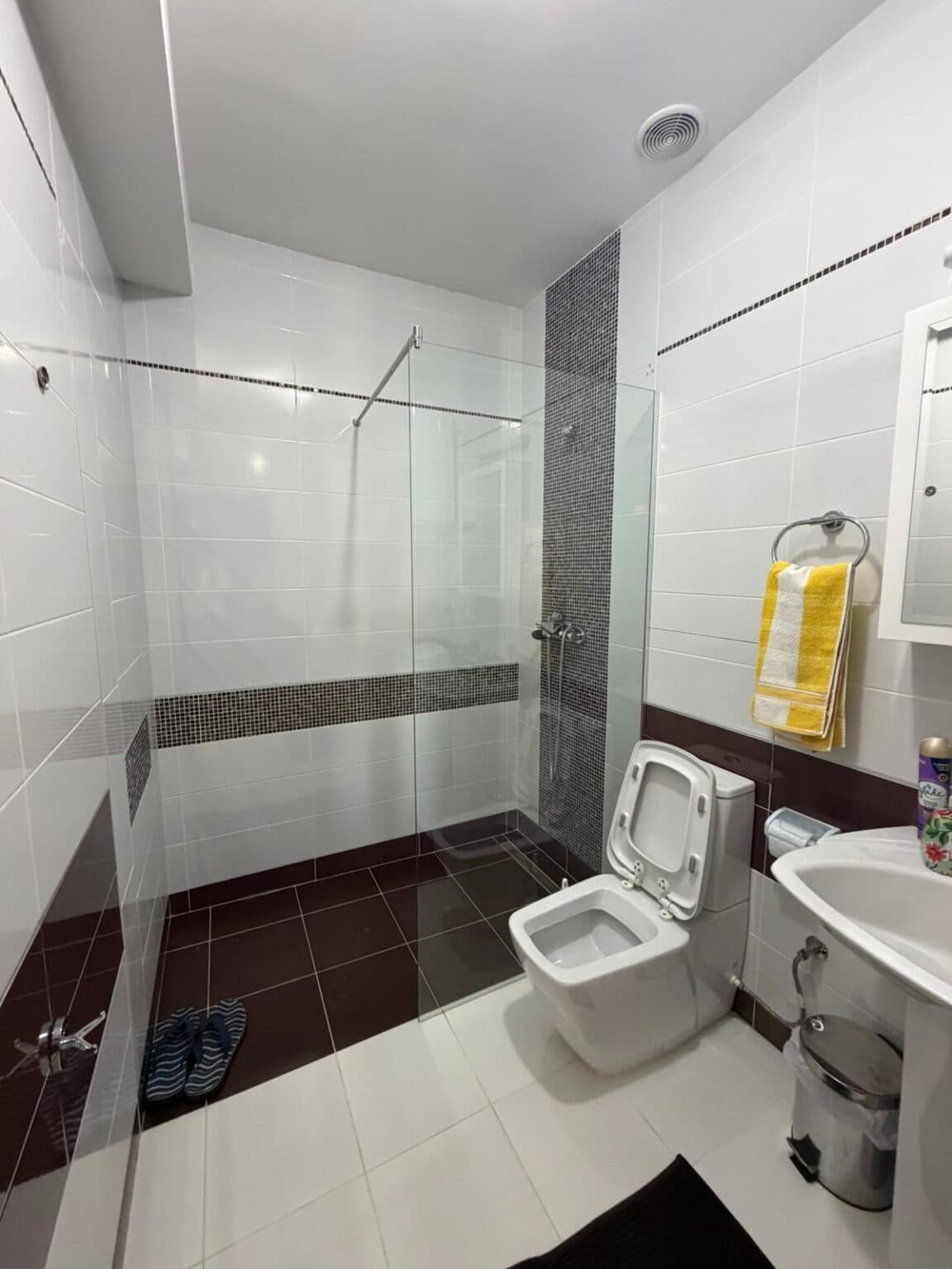 House 360m2 in Sopishte - For Sale - Sopishte - Image 19