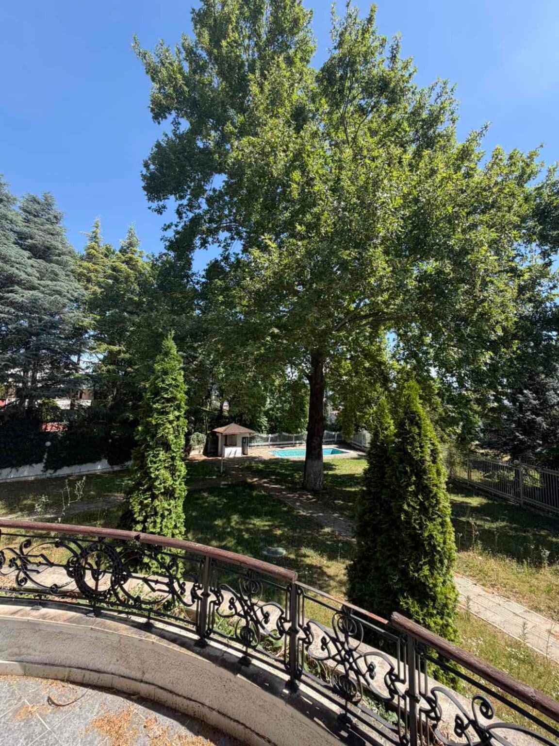 House in an Attractive Location in Vodno - For Sale, For Rent - Vodno - Image 17